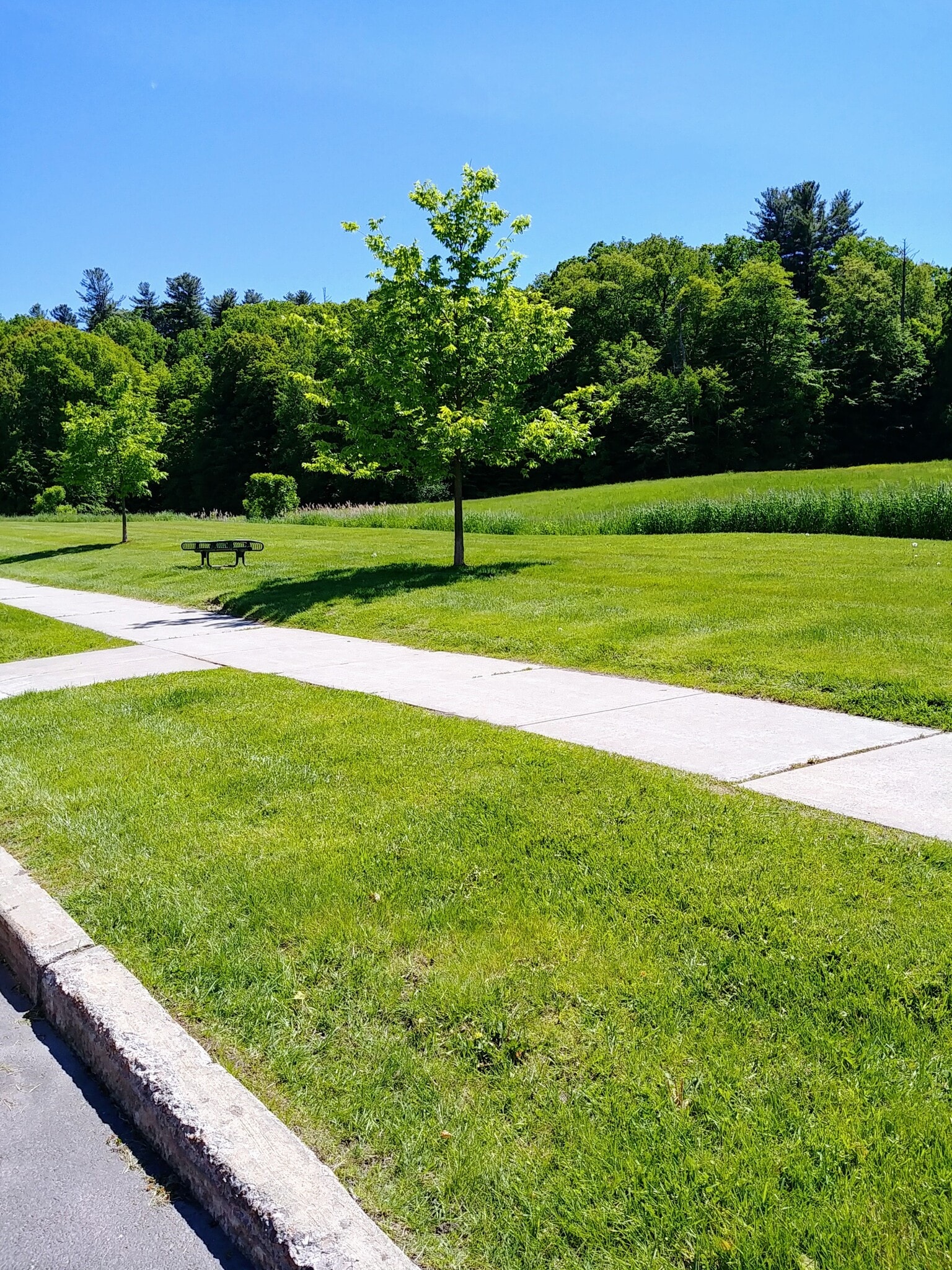 Green space - 386 Hildred Dr