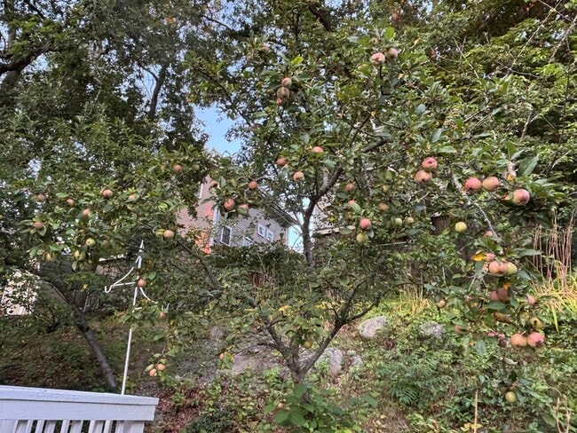 Building Photo - 118 Montclair Ave