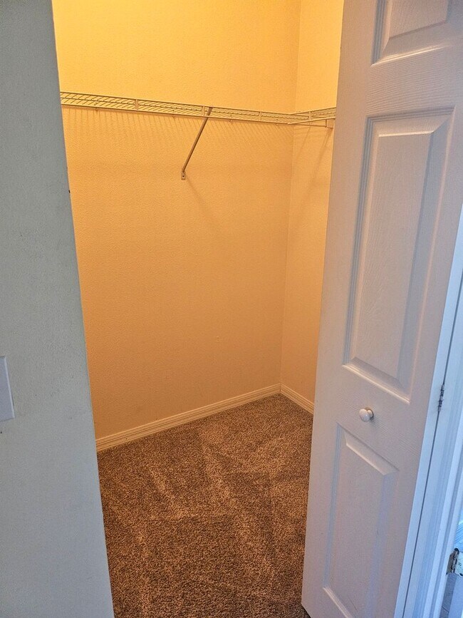 Building Photo - Newly renovated 3 bed, 2 bath home located minutes from Palm Coast dining, shopping, and the beach