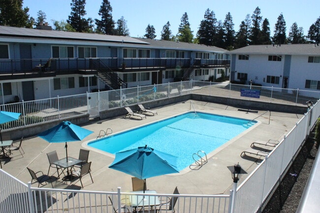 Primary Photo - Elevate Apartment Homes (08/25)