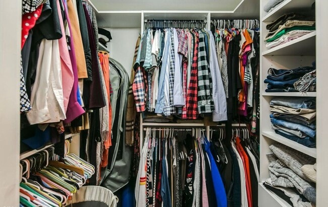 Building Photo - LOHI DUPLEX AVAILABLE IN JUNE