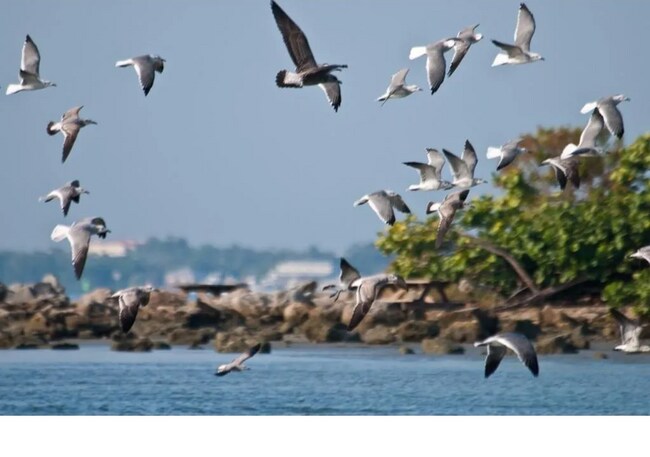 Building Photo - 4280 55th St