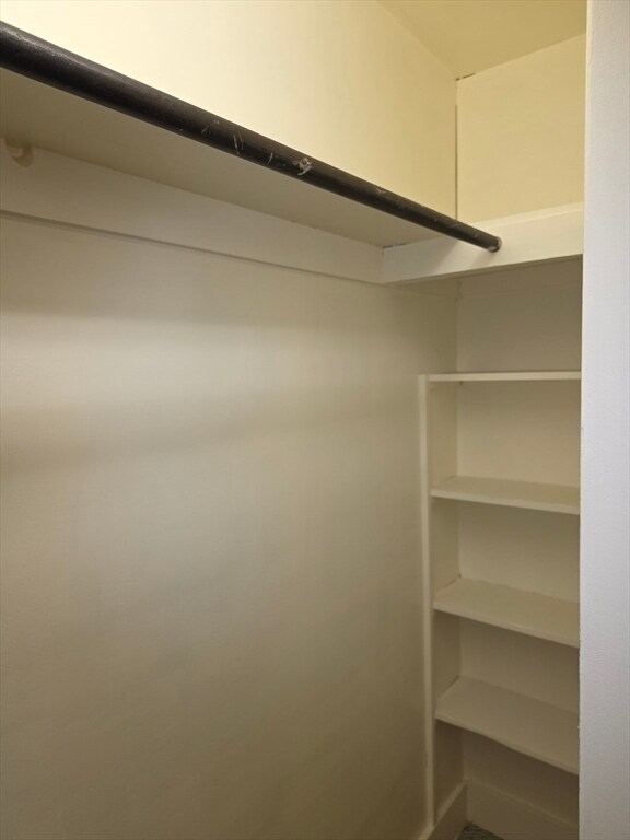 Building Photo - 77 Albertina St