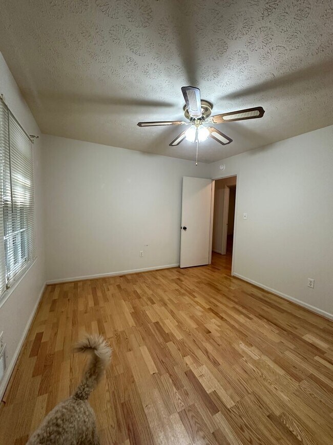Building Photo - 375 Segrest Cir