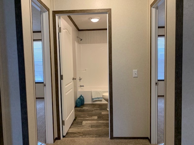 Building Photo - 1270 Beacon Hill Ct