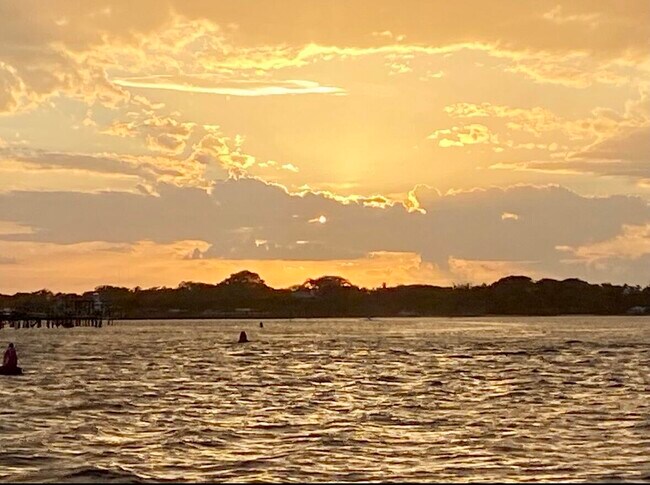 Building Photo - 206 Osprey Preserve Blvd