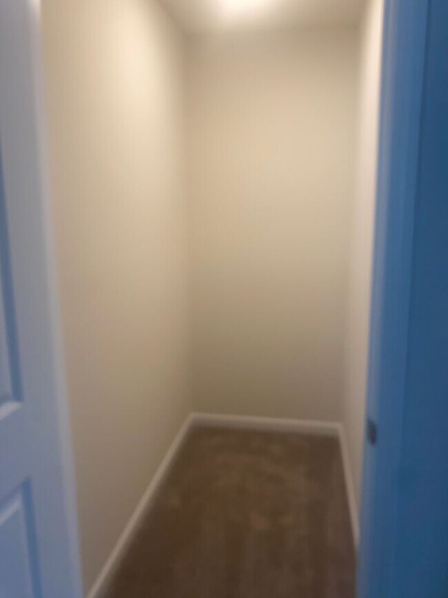 Building Photo - Be the First to Live in This Stunning Brand New Home!