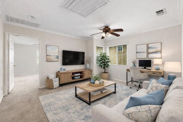 Building Photo - 237 Cedar Glen