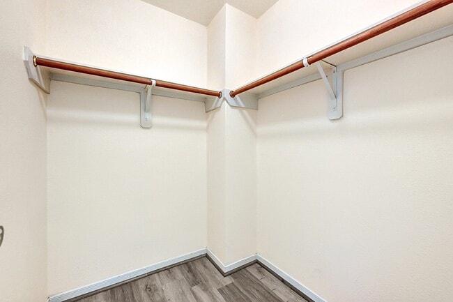 Building Photo - 8027 Saffron Ln