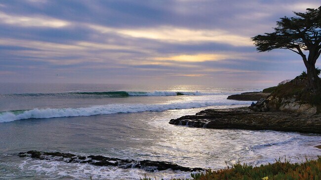 Building Photo - Brand New, Cozy Studio right near West Cliff