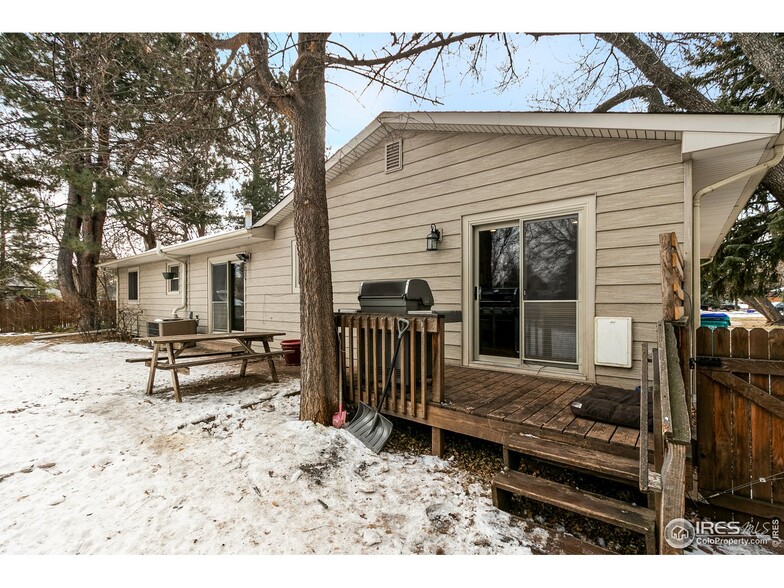 Backyard, detail - 1712 W Prospect Rd