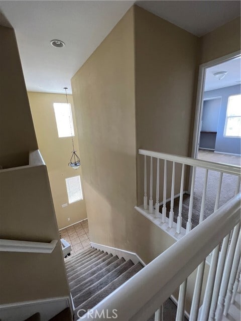 Building Photo - 7046 Angora St