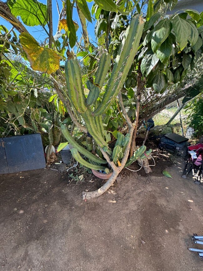 Building Photo - La Habra Duplex