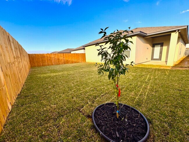 Building Photo - 1012 amezquita Dr