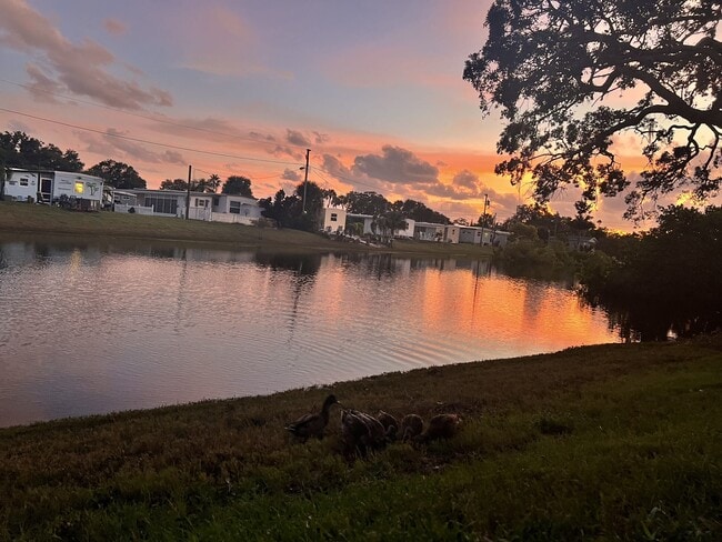 Building Photo - 455 US-19 ALT