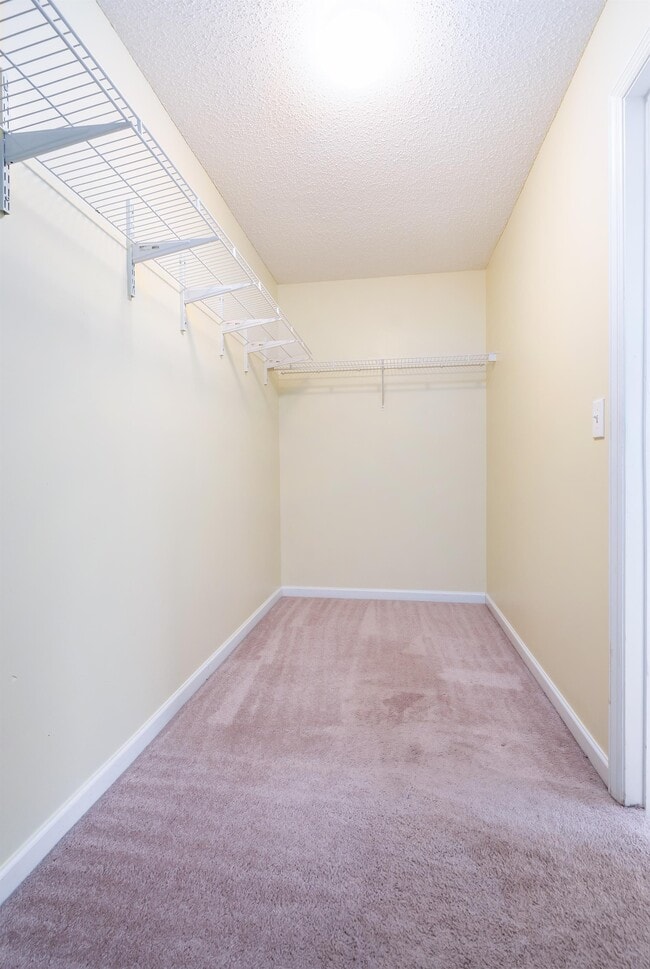 Building Photo - 117 Vancouver Rd