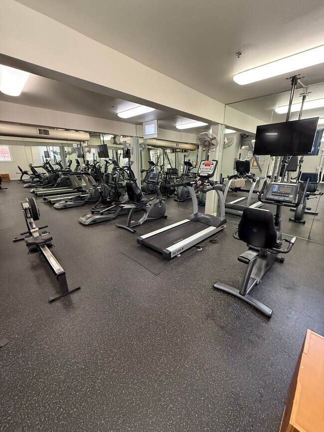 Building Photo - The Mills at Cortez Hill 1 Bed/1 Bath For ...