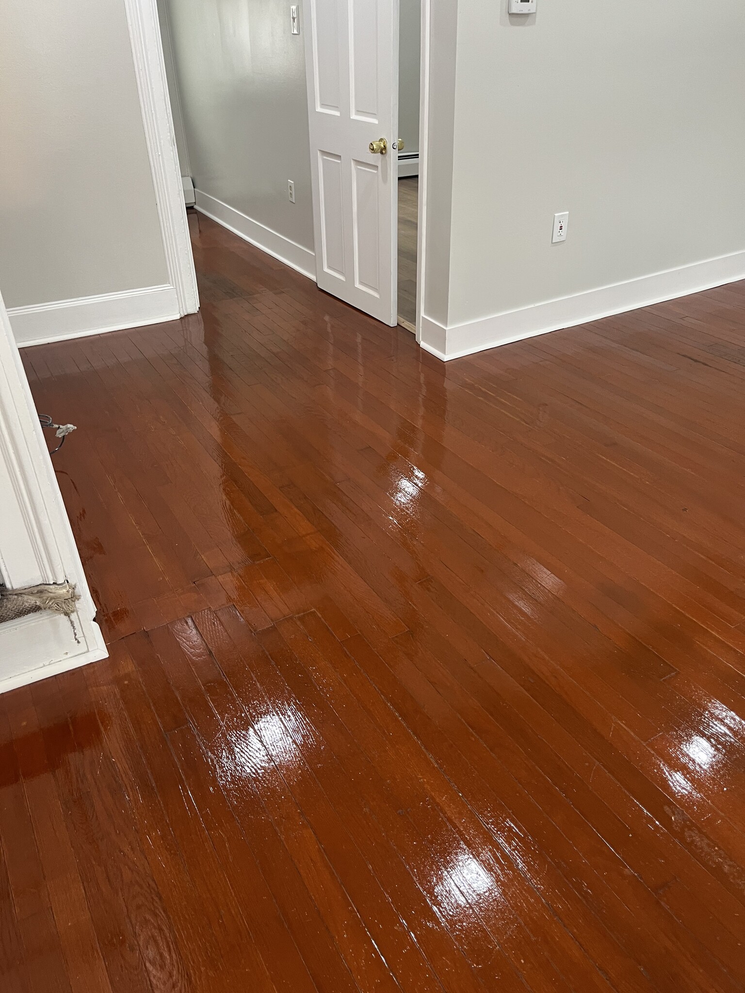 Building Photo - 16 Mohawk St