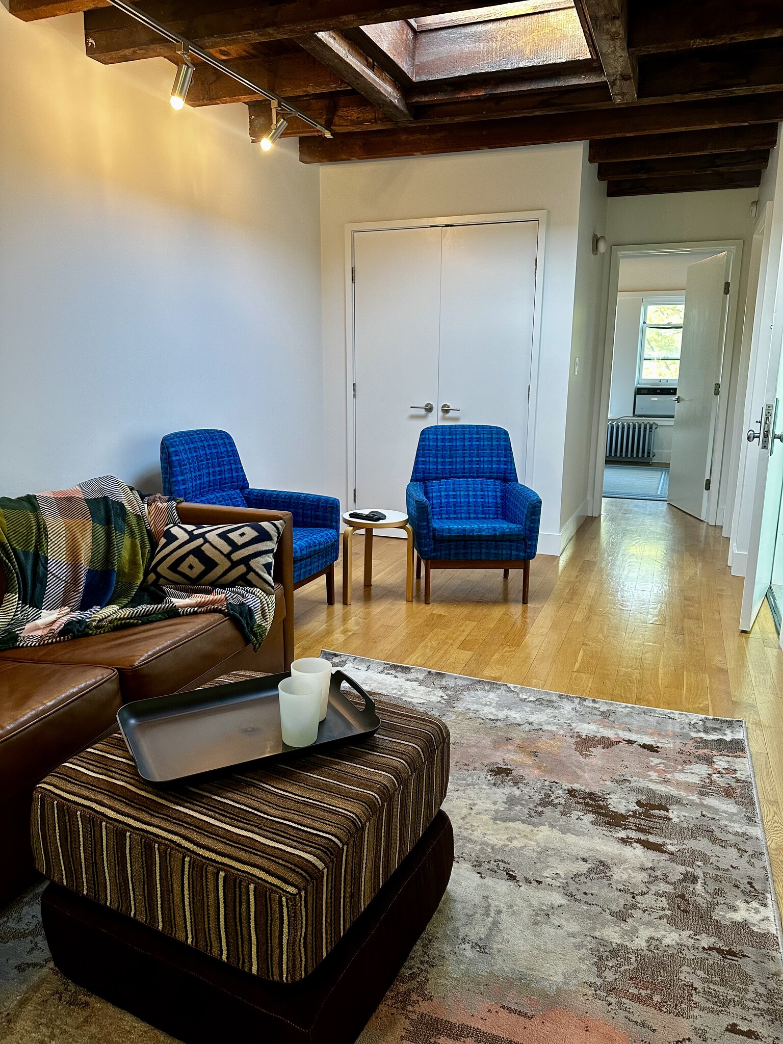 Living Room: fold-out sleeper couch, Samsumg smart TV, skylight, exposed beams - 682 President St