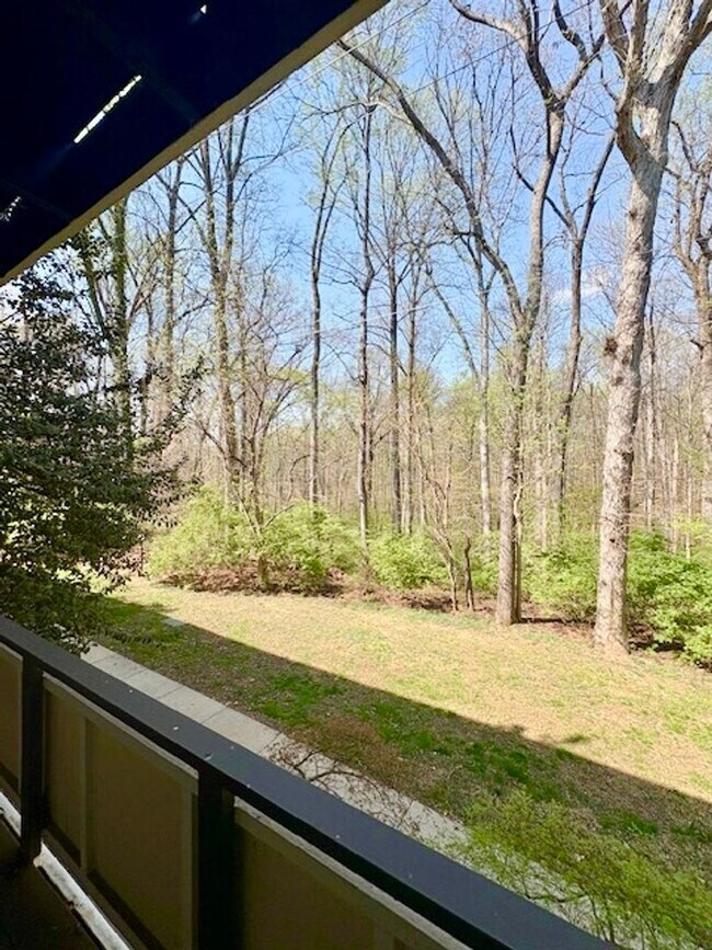 Building Photo - Remodeled 2 BR 1BA in Bethesda. Private front patio. Most utilities included.