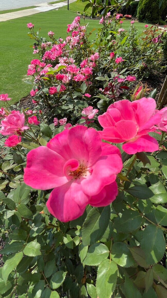 Building Photo - 1430 Juneau Way