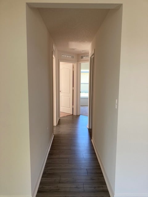 Building Photo - 36 Raemond Ln