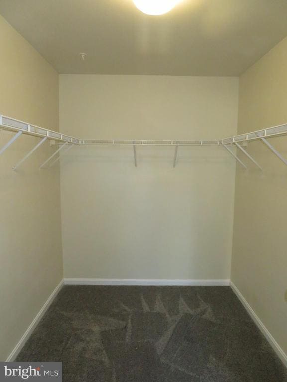 Building Photo - 3700 Bedford Dr