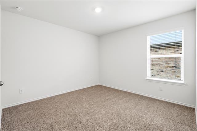 Building Photo - 4013 Pinebluff Ln