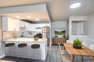 Suites 3D Media - The Nova Collective