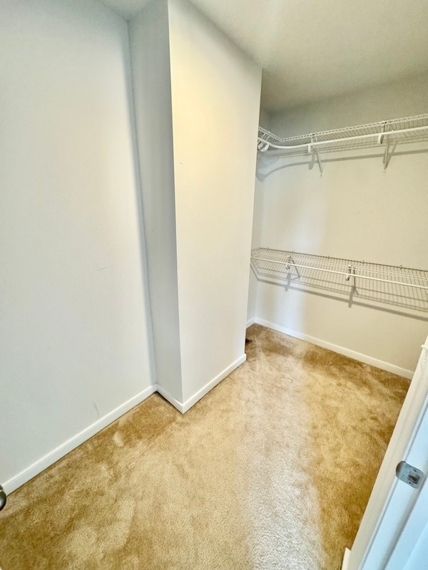 Building Photo - 1414 Whitehurst Way