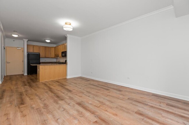 Building Photo - 1 bedroom in Chicago IL 60605