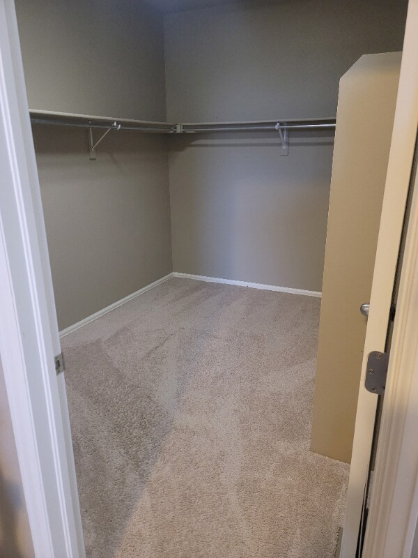 Building Photo - 3758 Torch Lily St