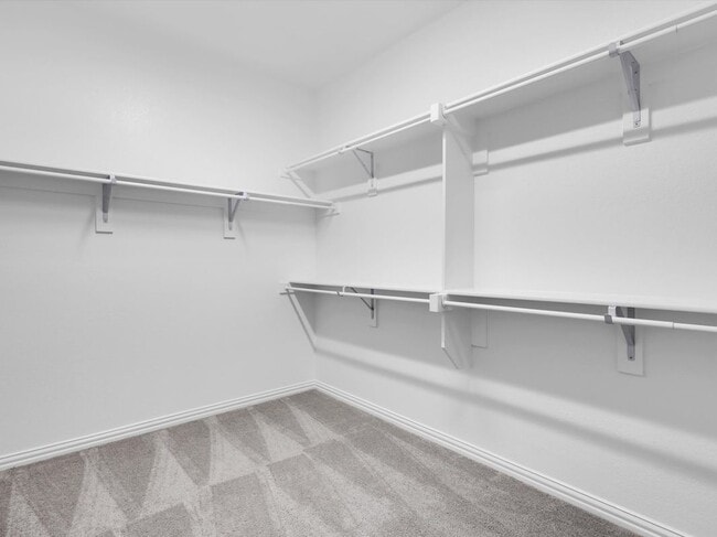 Building Photo - 1303 Wheelwright Dr