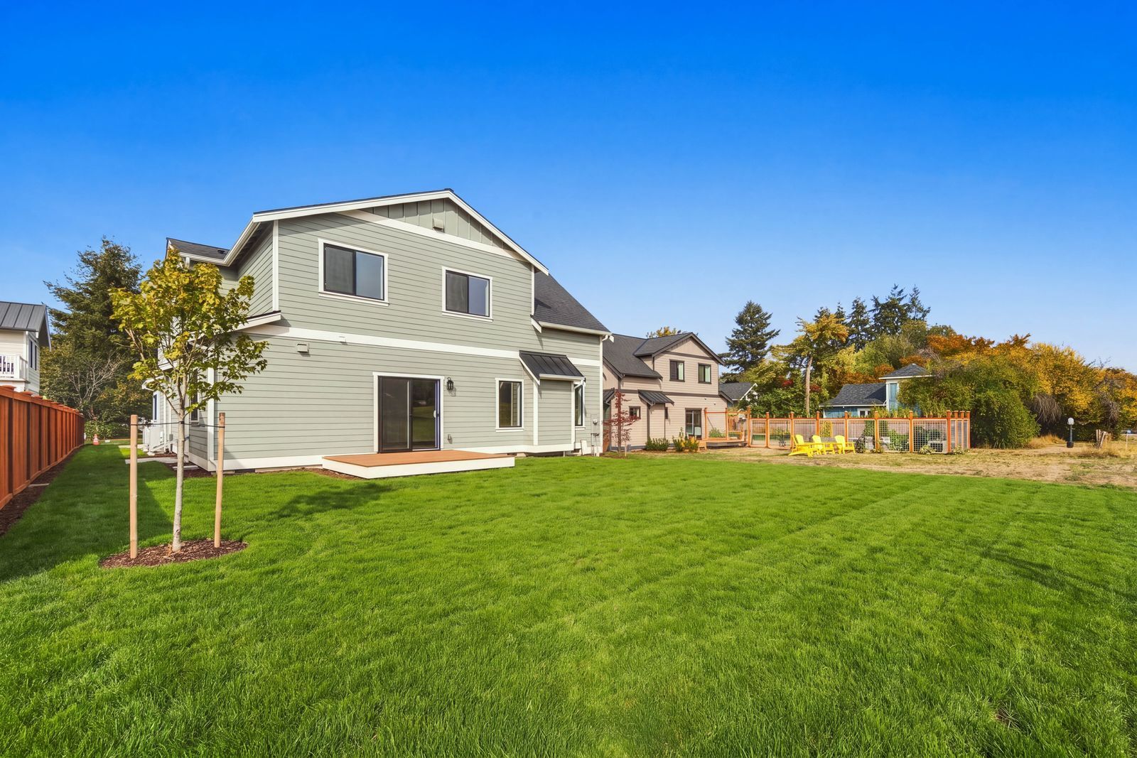 back yard - 695 3rd Street