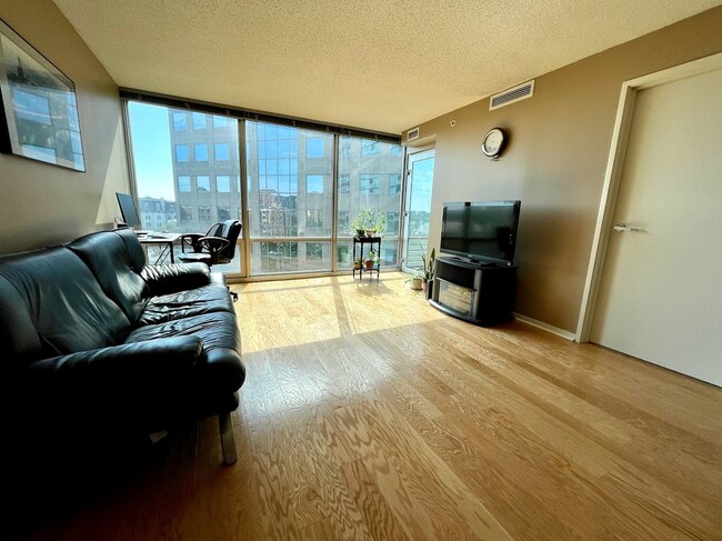 Living Room - 800 Elgin Rd