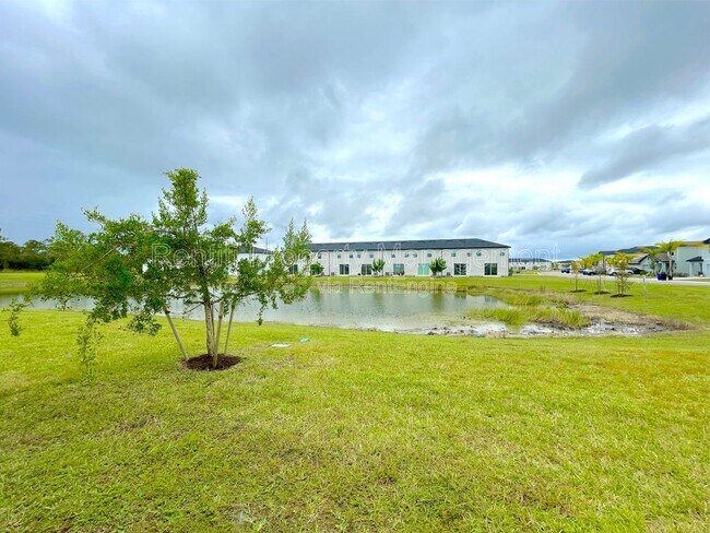 Building Photo - 4260 Canova Ct