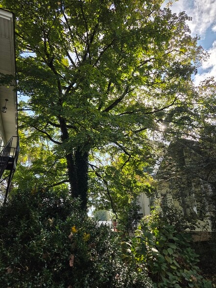 Building Photo - 403 W Flower St