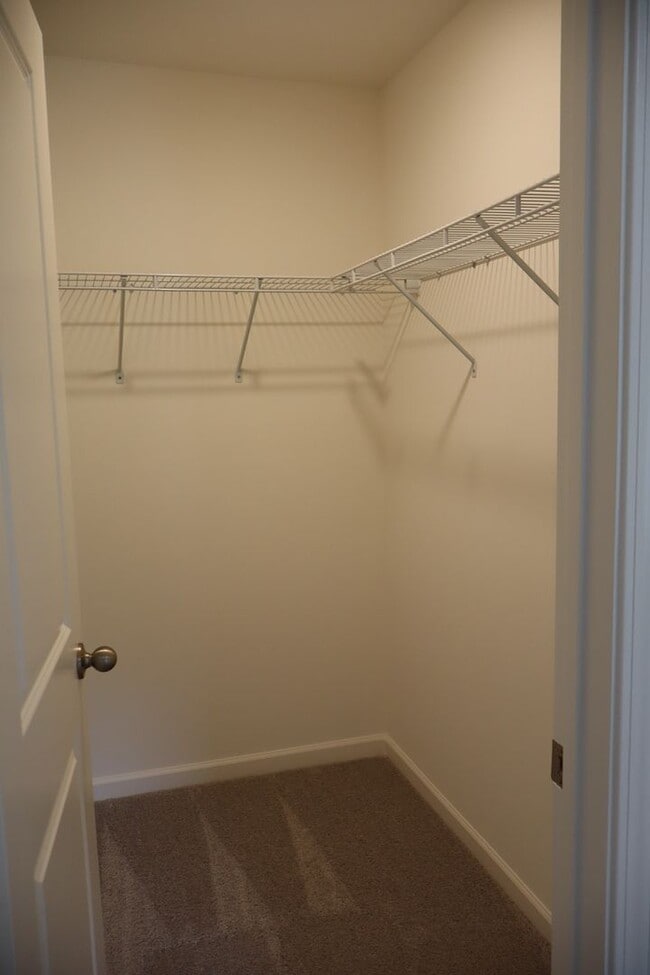 Building Photo - 3413 Baybrooke Dr