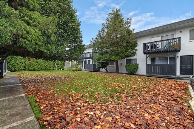 Interior Photo - Manhattan Apartments - Normandy Park