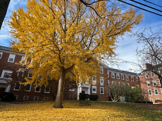 Building Photo - Updated 1BR in Iconic McLean Gardens is the Urban Retreat You've Been Looking For!