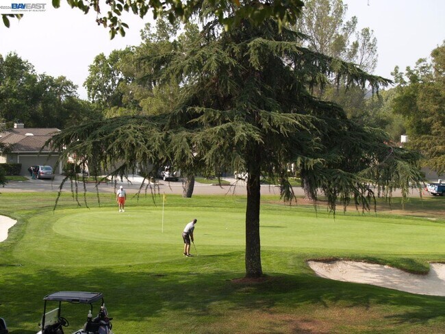 Building Photo - 703 Paradise Valley Ct