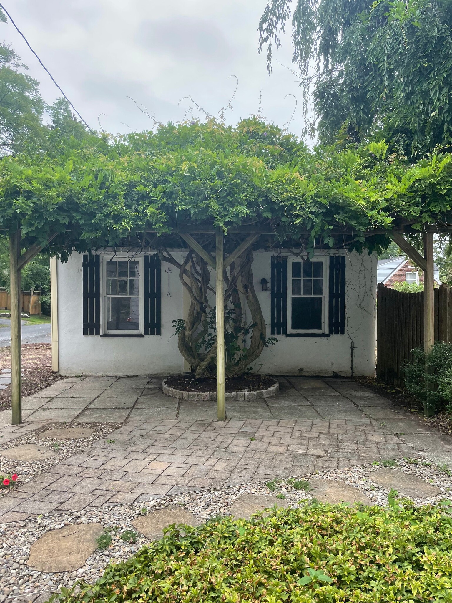Garage & 100 year old Wisteria Tree - 30 S Muhlenberg St