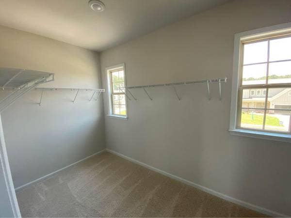 Building Photo - 223 Cattail Ln