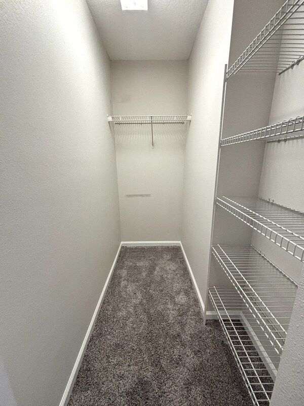 Building Photo - 2099 Switch Grass Cir
