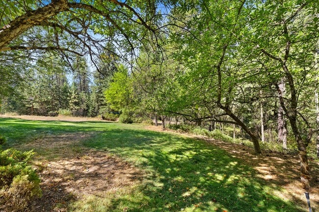 Building Photo - Beautiful 5-Bedroom close to Greenbluff. M...