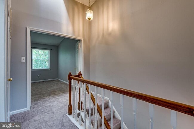 Building Photo - 8508 Blue Bird Woods Ct