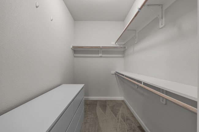 Building Photo - 824 Somb Moore Ways