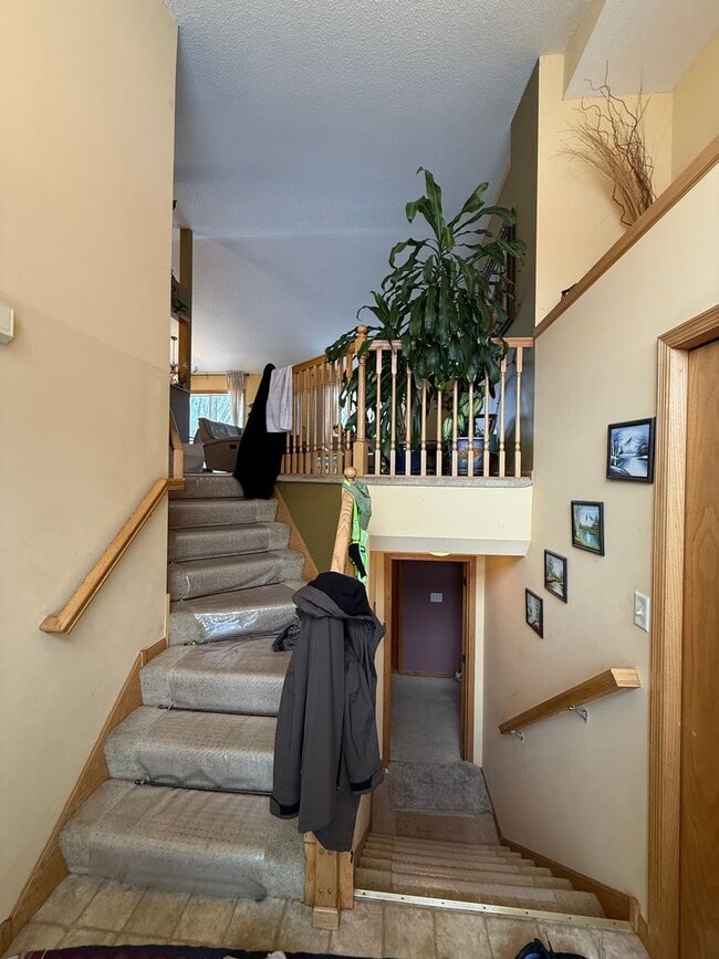 Building Photo - Spacious 5 Bedroom Home in Andover | Finished Walkout | 3-Car Garage