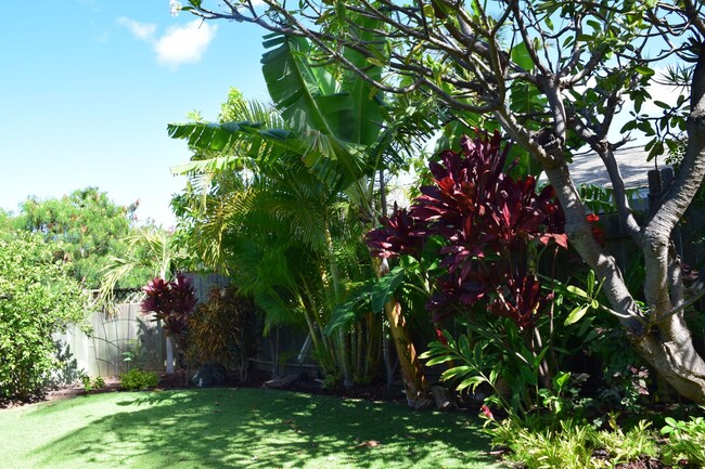 Building Photo - South Kihei Ohana 2 bed 1 bath - nice yard