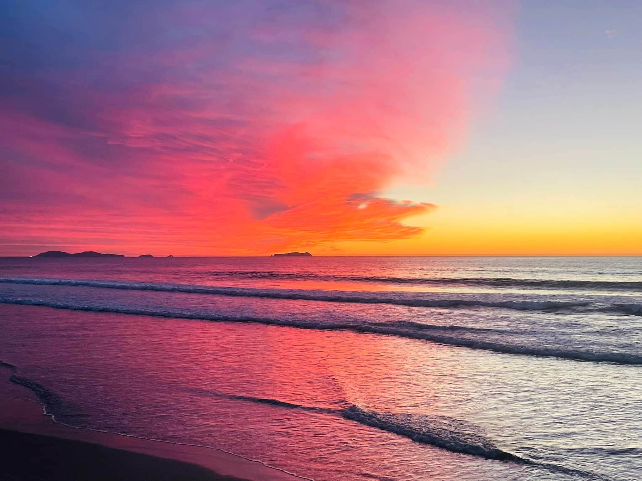 Building Photo - 194 Date Ave